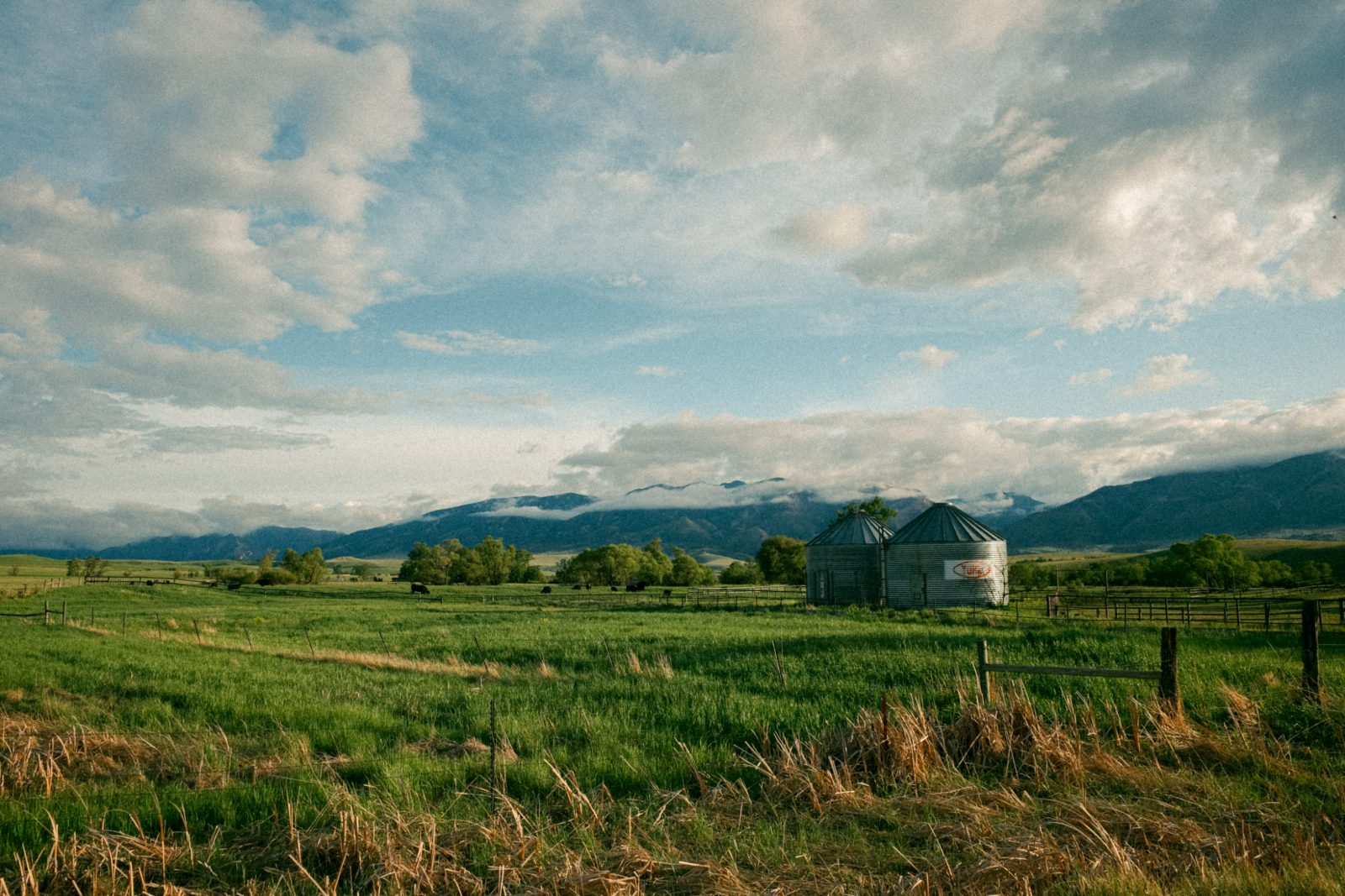 Grain bins standing in open Montana country